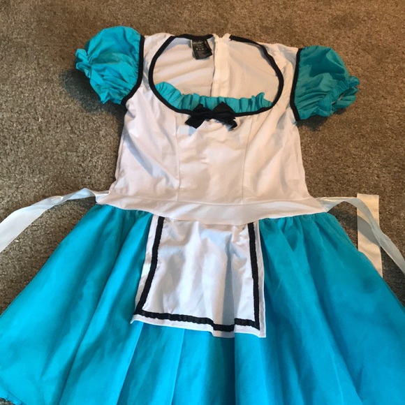 Alice in Wonderland Costume - Picture 2 of 3